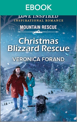Christmas Blizzard Rescue