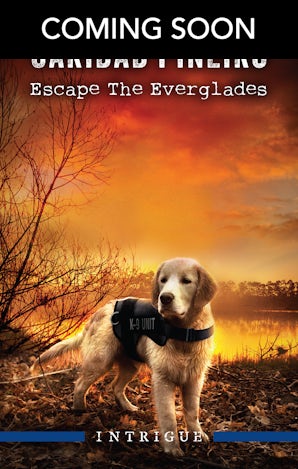 Escape The Everglades