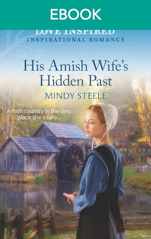 His Amish Wife's Hidden Past