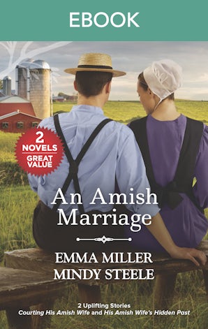 An Amish Marriage