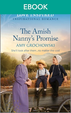 The Amish Nanny's Promise
