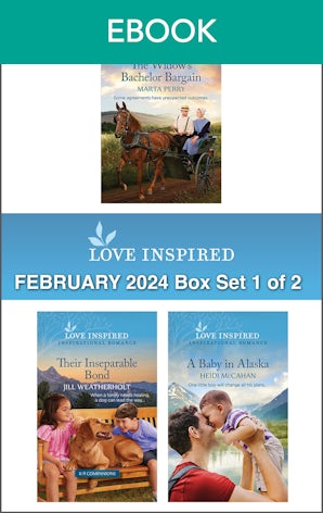 Love Inspired February 2024 Box Set - 1 of 2
