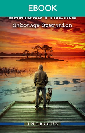 Sabotage Operation