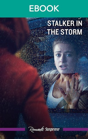 Stalker In The Storm
