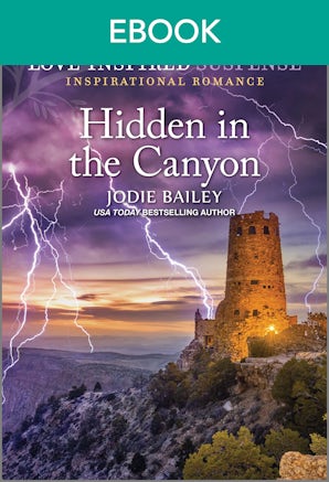 Hidden In The Canyon