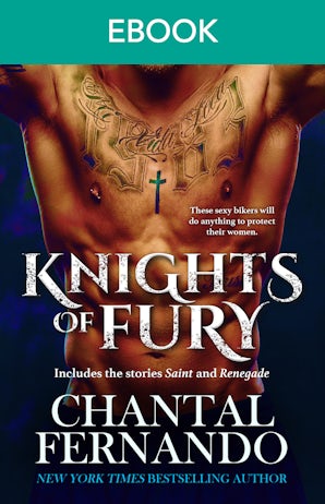 Knights Of Fury: Saint & Renegade