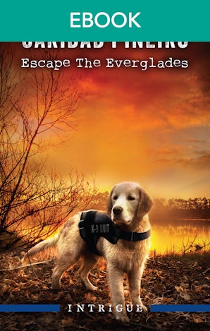 Escape The Everglades