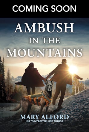 Ambush In The Mountains
