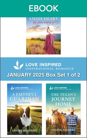 Love Inspired January 2025 Box Set - 1 of 2