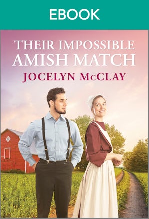 Their Impossible Amish Match