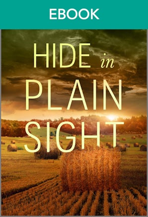 Hide In Plain Sight