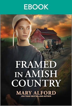 Framed In Amish Country