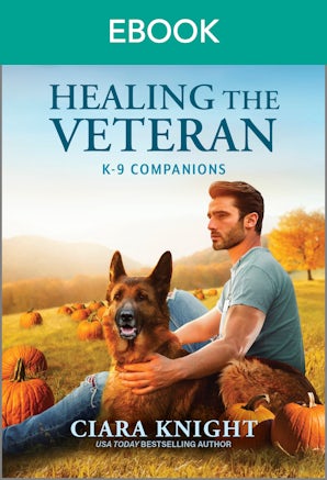 Healing The Veteran