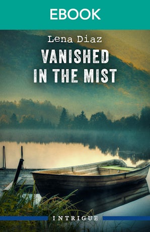 Vanished In The Mist