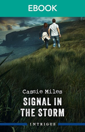 Signal In The Storm