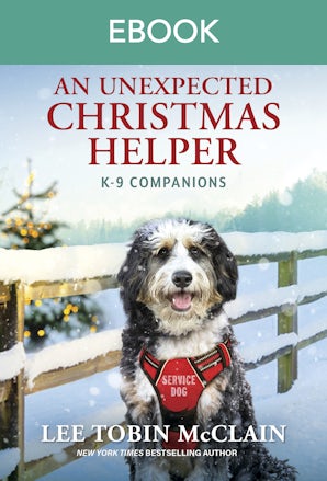 An Unexpected Christmas Helper