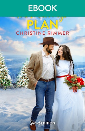 The Marriage Plan
