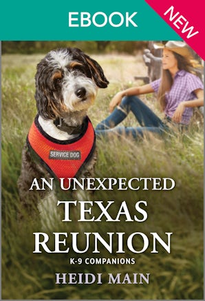 An Unexpected Texas Reunion