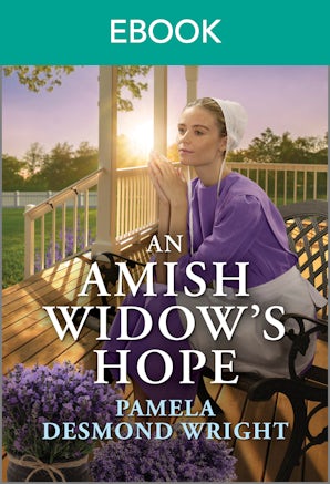 Cover image for An Amish Widow's Hope, isbn: 9781038973788