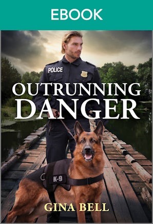 Cover image for Outrunning Danger, isbn: 9781038973900
