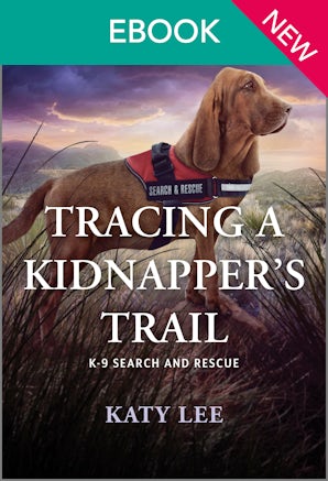 Cover image for Tracing A Kidnapper's Trail, isbn: 9781038977106