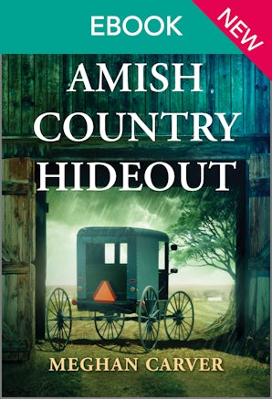 Cover image for Amish Country Hideout, isbn: 9781038977120