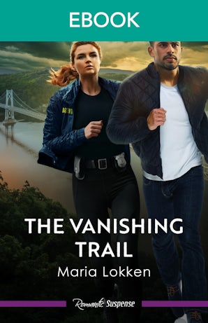 Cover image for The Vanishing Trail, isbn: 9781038978301