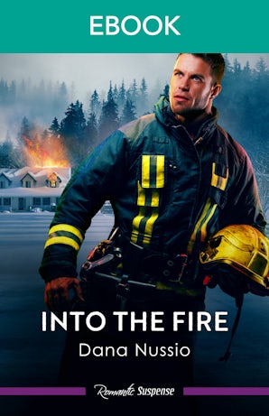 Cover image for Into The Fire, isbn: 9781038978318