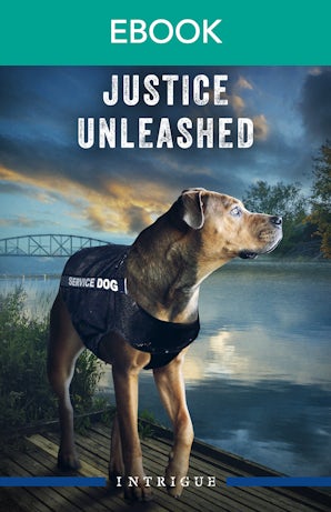 Cover image for Justice Unleashed, isbn: 9781038980861