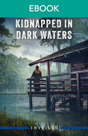 Cover image for Kidnapped In Dark Waters, isbn: 9781038980915