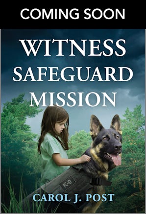 Cover image for Witness Safeguard Mission, isbn: 9781038982063