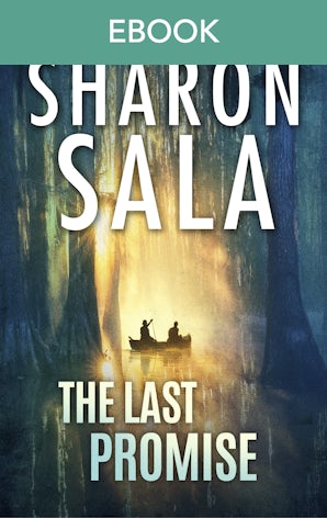 Cover image for The Last Promise, isbn: 9781038982223