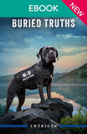 Cover image for Buried Truths, isbn: 9781038984562