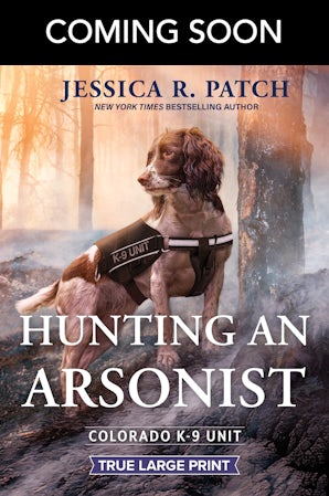 Cover image for Hunting An Arsonist, isbn: 9781038990020