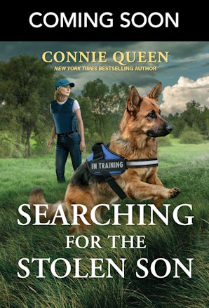 Cover image for Searching For The Stolen Son, isbn: 9781038990037