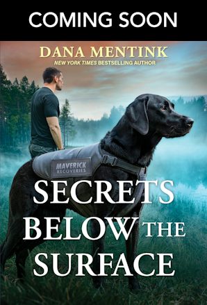Cover image for Secrets Below the Surface, isbn: 9781038997692
