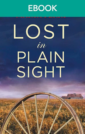 Lost In Plain Sight