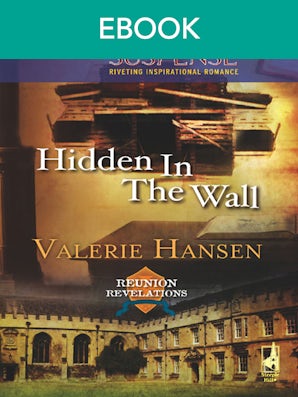 Hidden In The Wall
