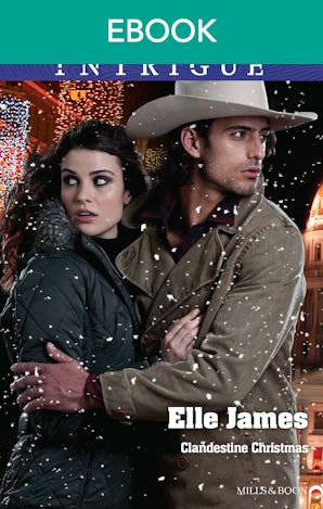 Clandestine Christmas