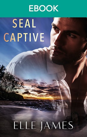 Navy Seal Captive