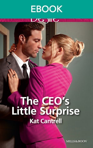 The Ceo's Little Surprise