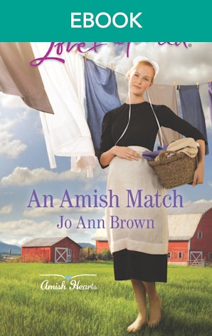 An Amish Match