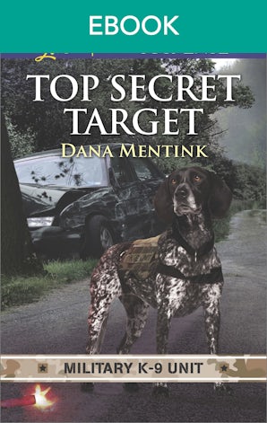 Top Secret Target