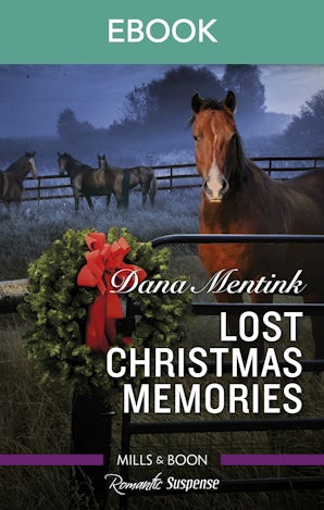 Lost Christmas Memories