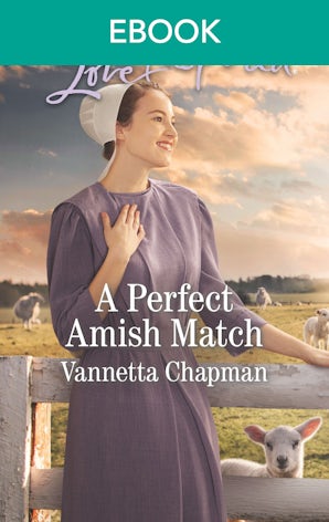 A Perfect Amish Match