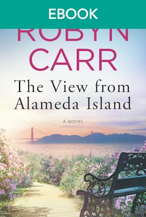 The View from Alameda Island