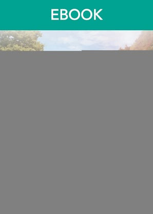 The Single Mum And The Tycoon