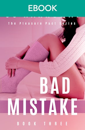 Bad Mistake: A sensual opposites attract bodyguard romance