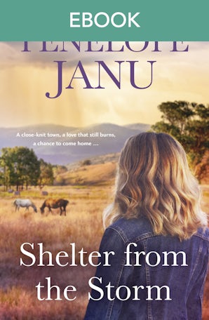 Shelter from the Storm