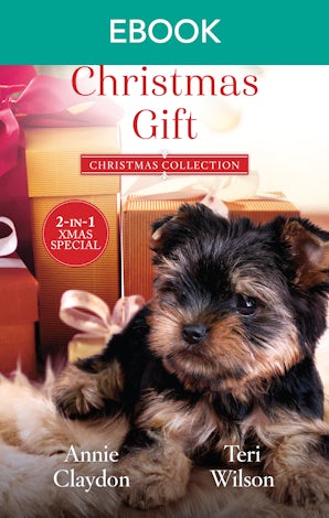 Her Christmas Gift